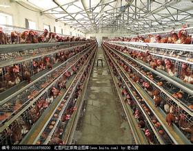   一個業余攝影玩家的心得 “我只是一位業余攝影玩家，正是因為業余，所以我沒有緊迫的拍攝任務。雖然沒有精良的設備，也沒有展…              